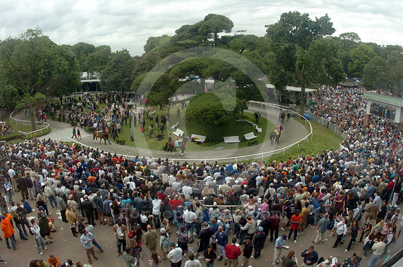 belmontpaddock07_hr