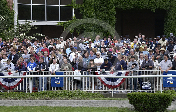 belmontpaddock08_ar