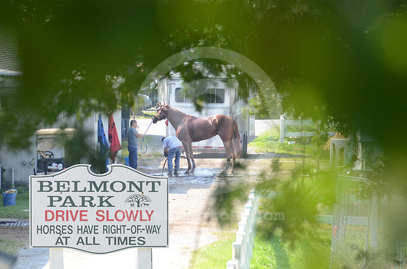 belmontpark_backside02_hr