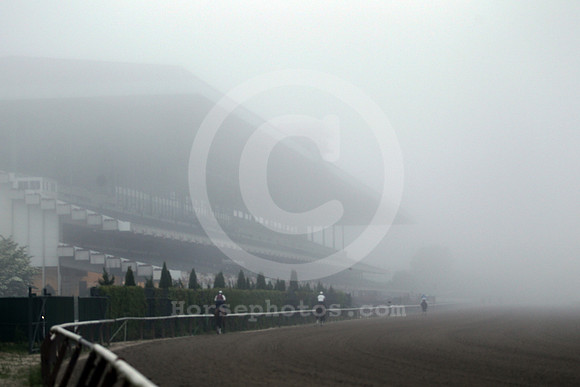 belmontpark_fog01_ljp