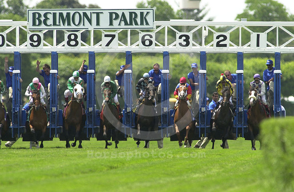 belmontpark_gate_01_hr