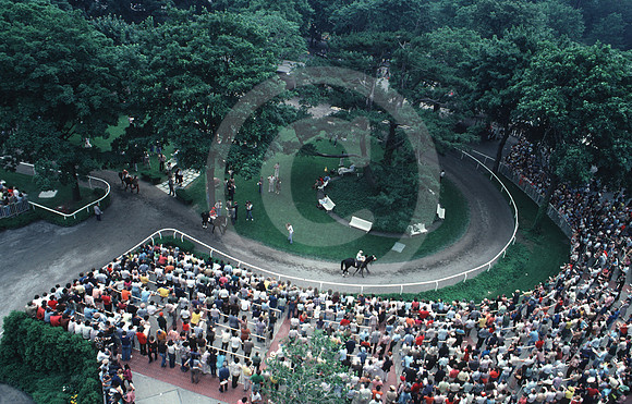 belmontpark_paddock01_hr