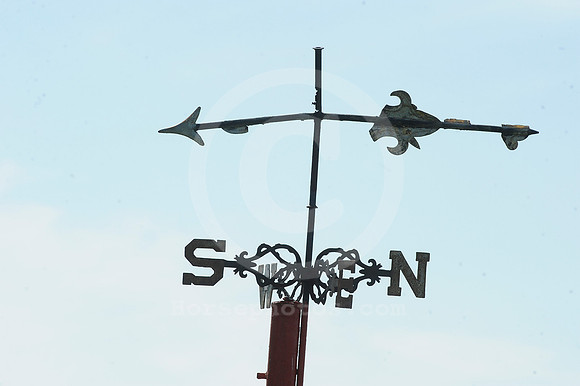 belmontpark_weathervane01_hr