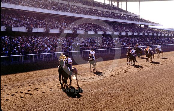 belmontpark001_hr