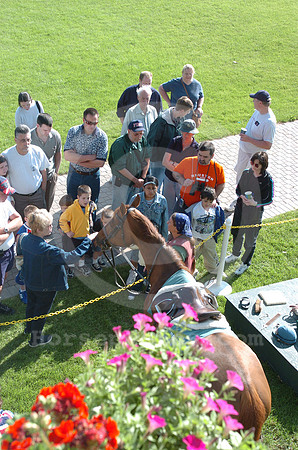 belmontpark01_jd