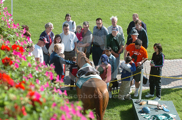 belmontpark02_jd