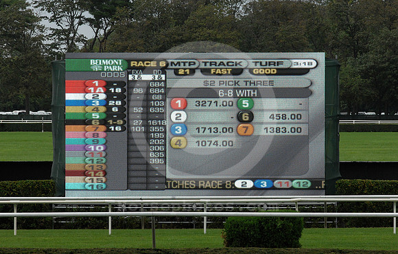 belmonttoteboard01_rw