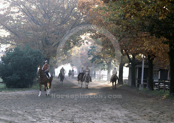 belmont_backstretch18_hr