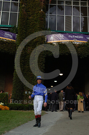 frankiedettori10_jd