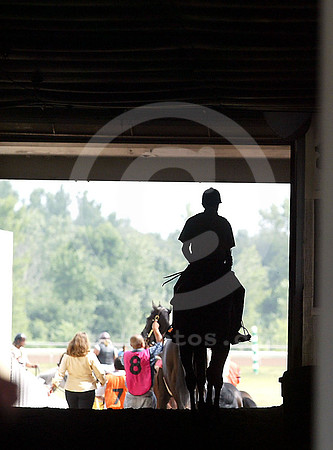 fingerlakes04_st