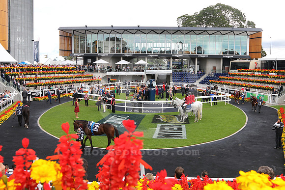 randwickracecourse04_tm
