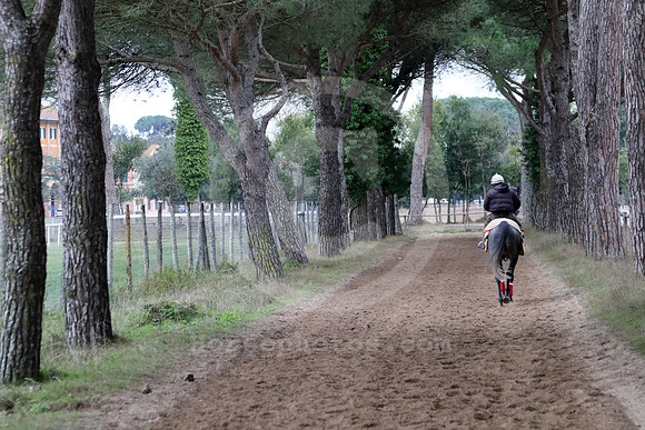 pisaracetrack05_cg