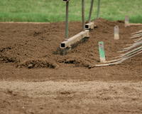 ellispark08