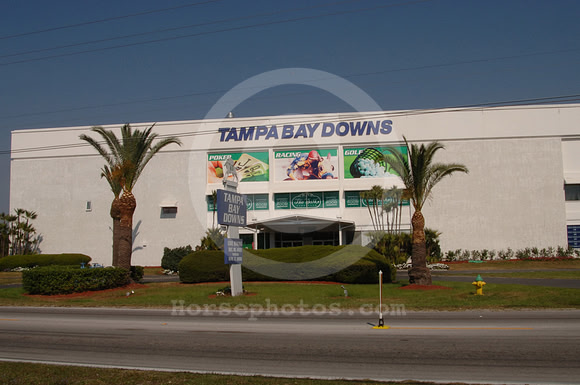 tampabaydowns02