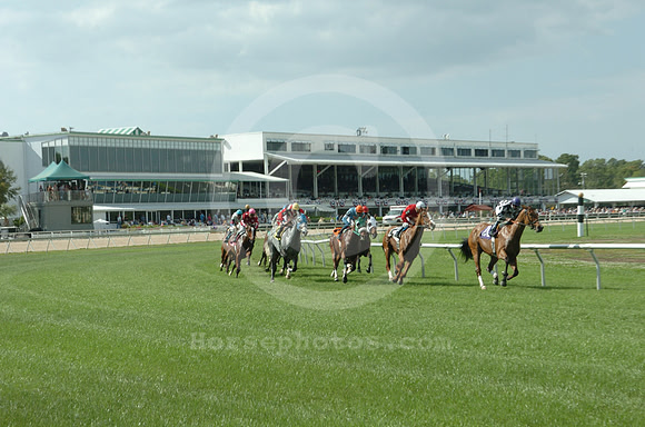 tampabaydowns01