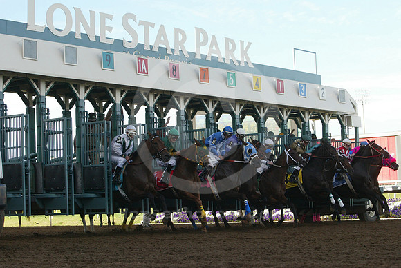 lonestarpark16_mjm