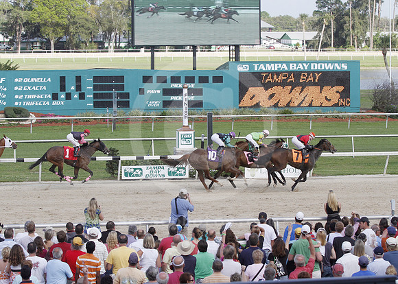 tampabaydowns17_em