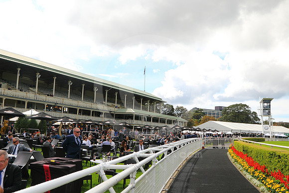 randwickracecourse02_tm