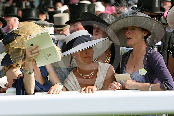ascot_fashion347_fs