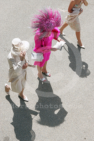 ascot_fashion_hat04_fs