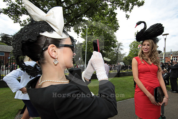 ascot_fashion363_fs