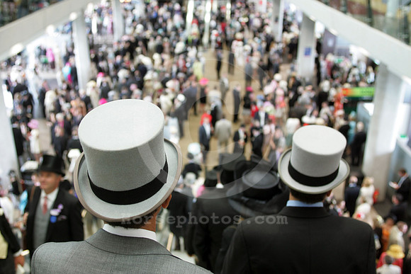 ascot_crowd22_fs