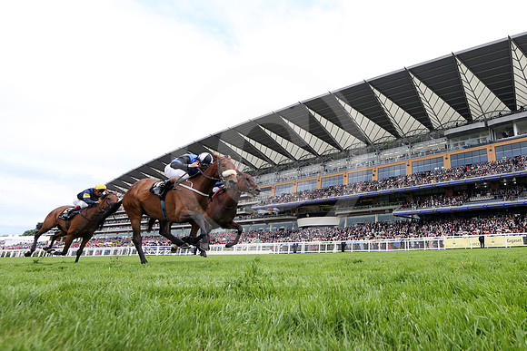 royalascot53_fs