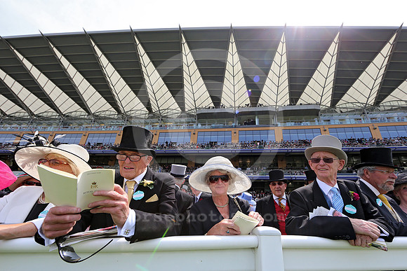 ascot_audience61_fs