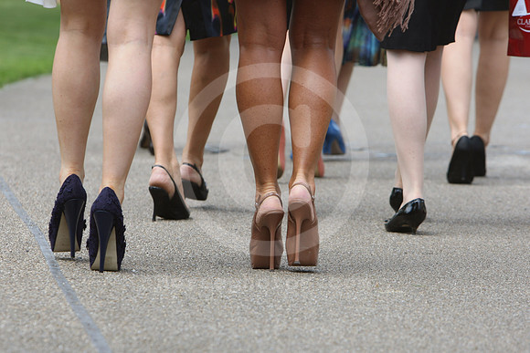 ascot_fashionlegs346_fs