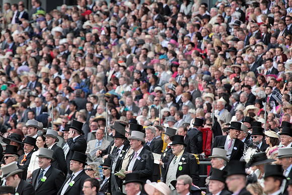 ascot_audience02_fs