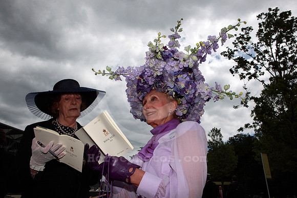 ascot_fashion312_fs