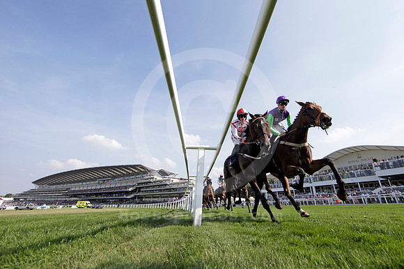 royalascot79_fs