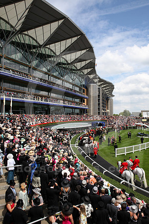 ascot_audience_grandstand101_fs