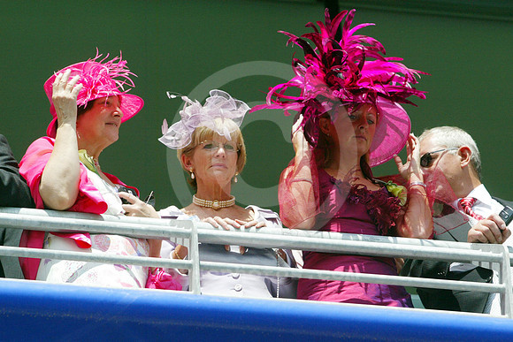 ascot_crowd02_fs
