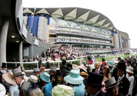 ASCOT033_fs