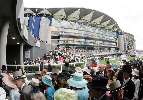 ASCOT033_fs