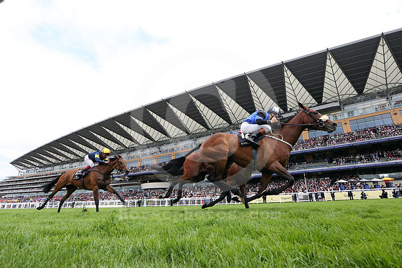 royalascot54_fs