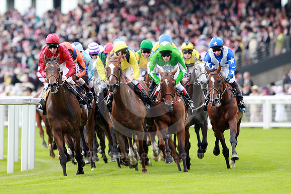 ascot_horses38_fs