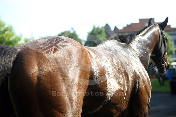 royalascot82_fs