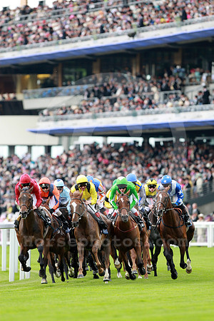 ascot_grandstand39_fs