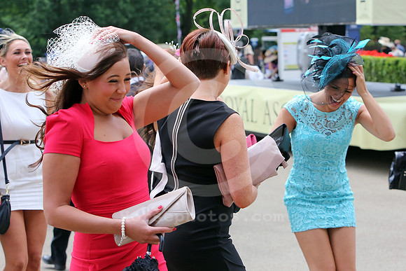 ascot_fashion403_fs