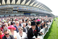ASCOT038_fs