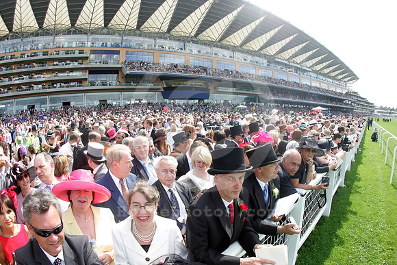 ASCOT038_fs