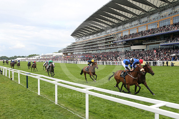 royalascot50_fs