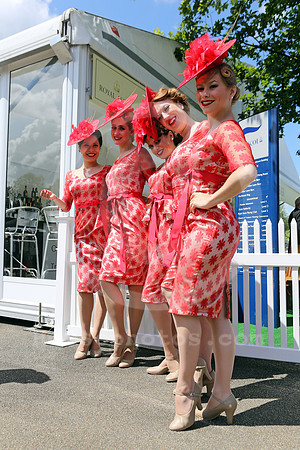 ascot_fashion376_fs
