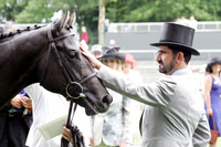 ASCOT036_fs