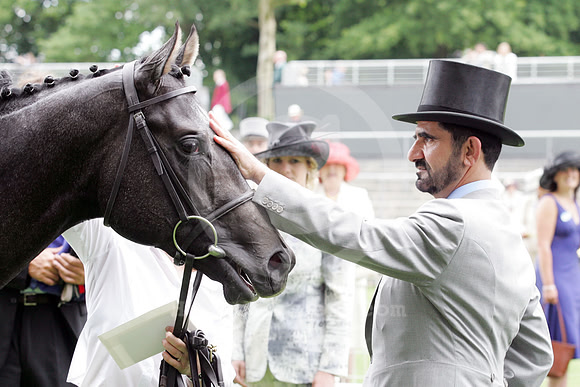 ASCOT036_fs