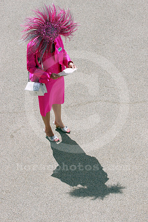 ascot_fashion_hat02_fs