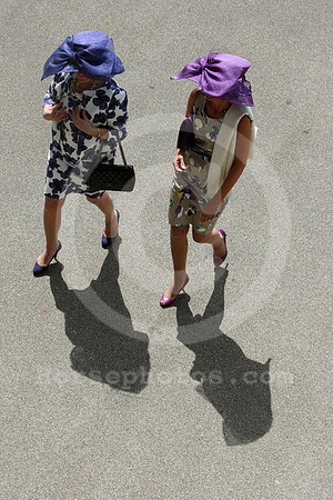 ascot_fashion343_fs