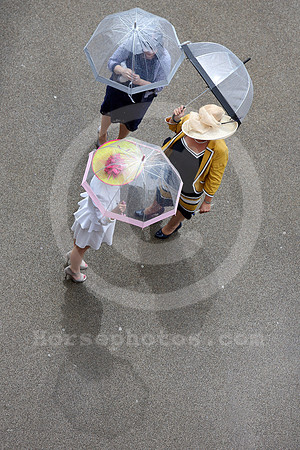 ascot_audience58_fs
